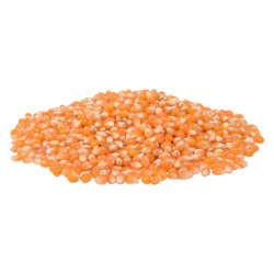 Picture of Act II Unpopped Yellow Popcorn  Bulk  50 Lb Bag  1/Bag