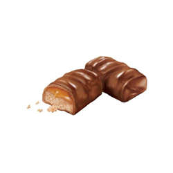 Picture of Twix Caramel Milk Chocolate Cookie Candy Bars, Fun Size, 10.83 Oz Package, 20/Case