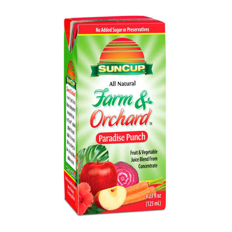Picture of Farm & Orchard 100% Vegetable & Fruit Paradise Punch Juice Box  Shelf-Stable  Single-Serve  4.23 Fl Oz Carton  40/Case