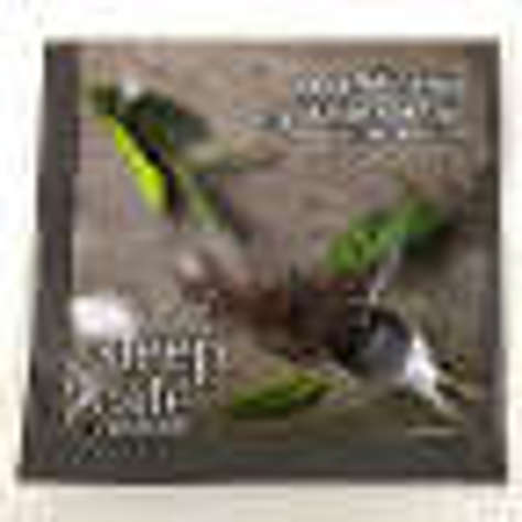 Picture of Steep Caf by Bigelow Decaffeinated English Breakfast Black Tea (32 Units)