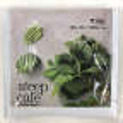 Picture of Steep Caf by Bigelow Mint Herbal Tea (32 Units)