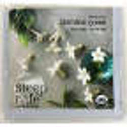 Picture of Steep Caf by Bigelow Organic Jasmine Green Tea (32 Units)